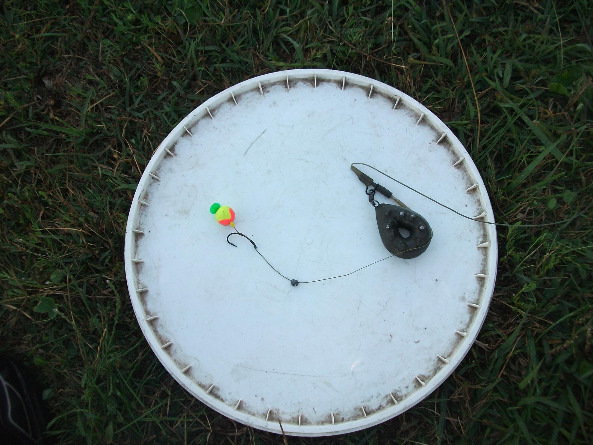 Cernica - dscf1464.jpg